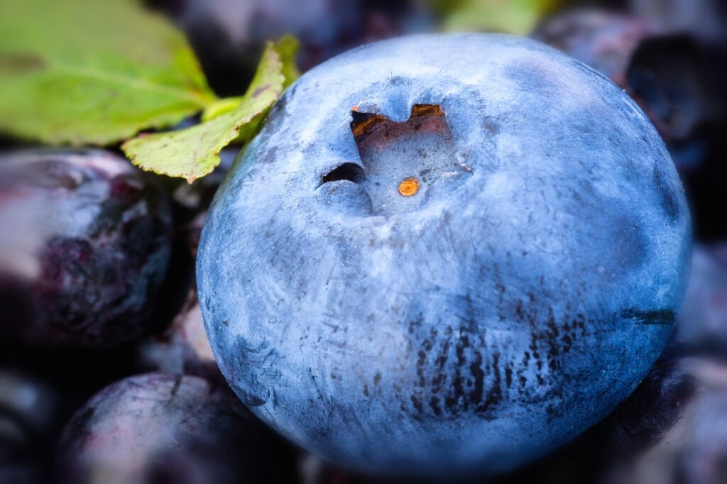 Blueberries: Nutrition facts